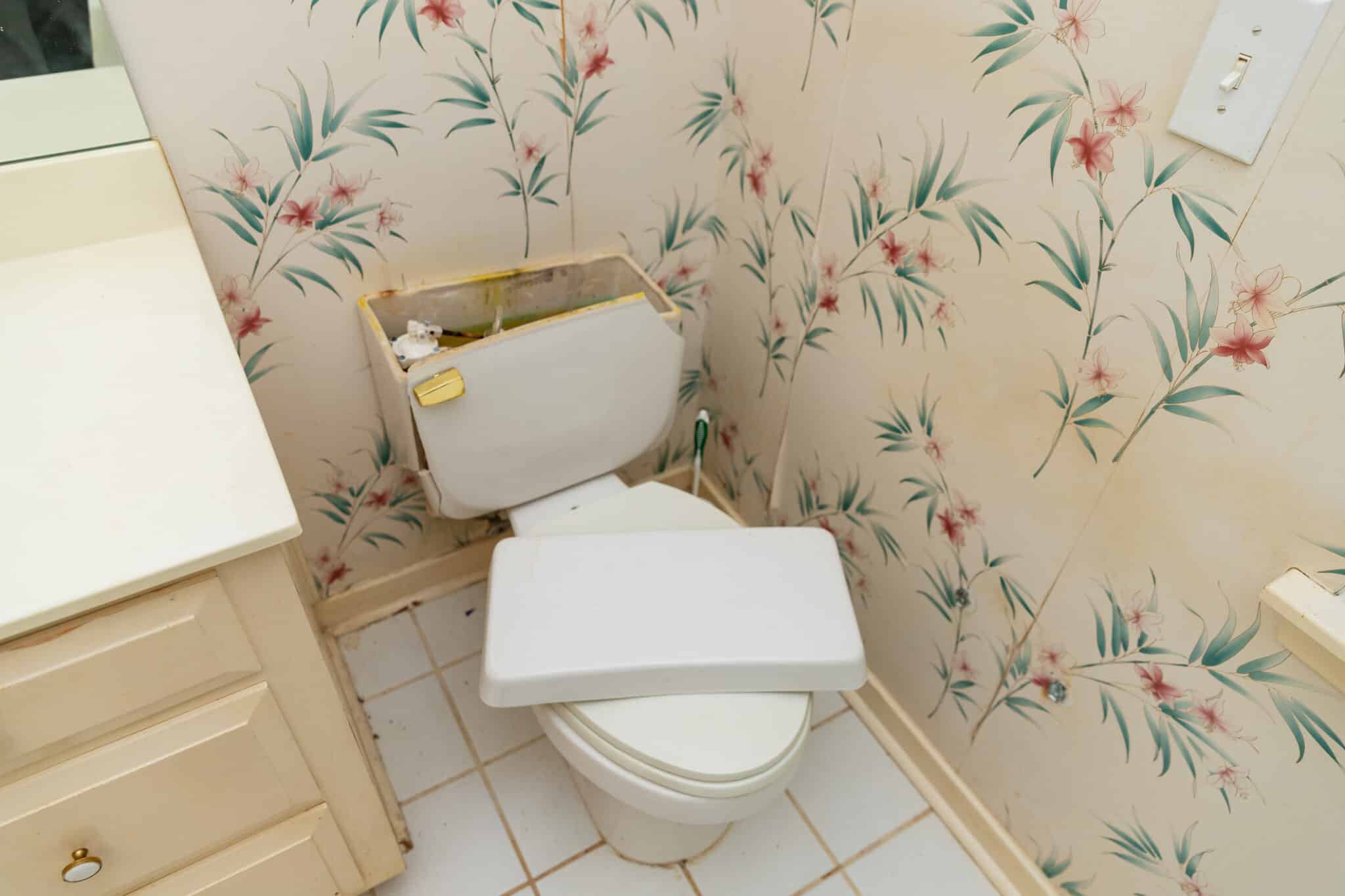 Cracked toilet tank on broken toilet in bathroom, Toilet Repair Solutions.