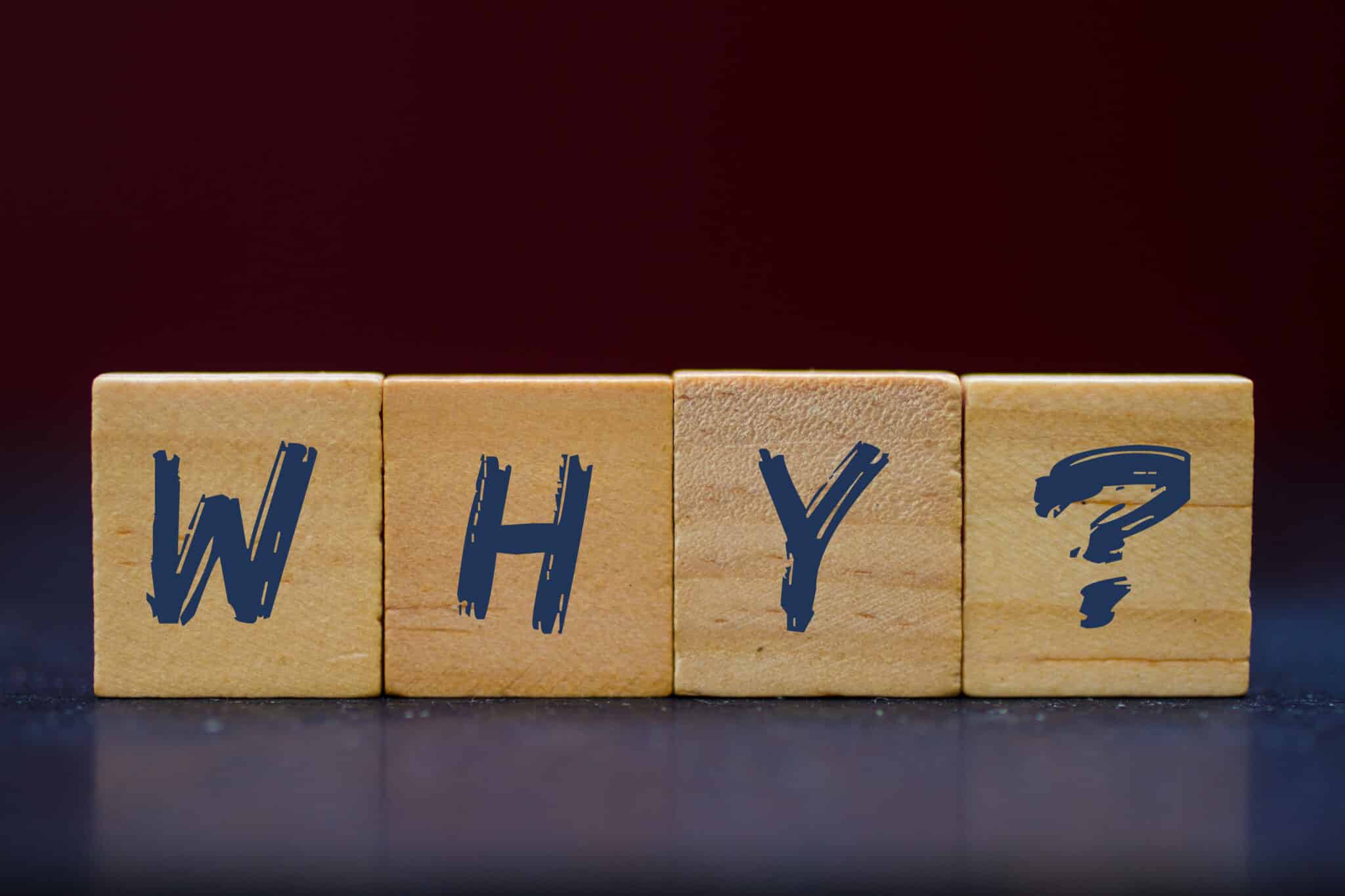 Why, Trenchless Sewer Repair.